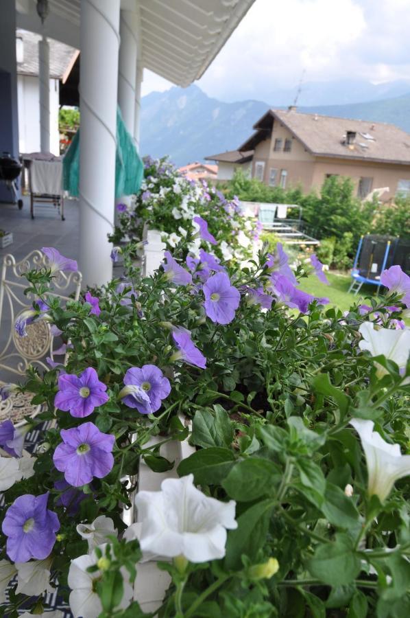 Villa Miriam Levico Terme Exteriör bild